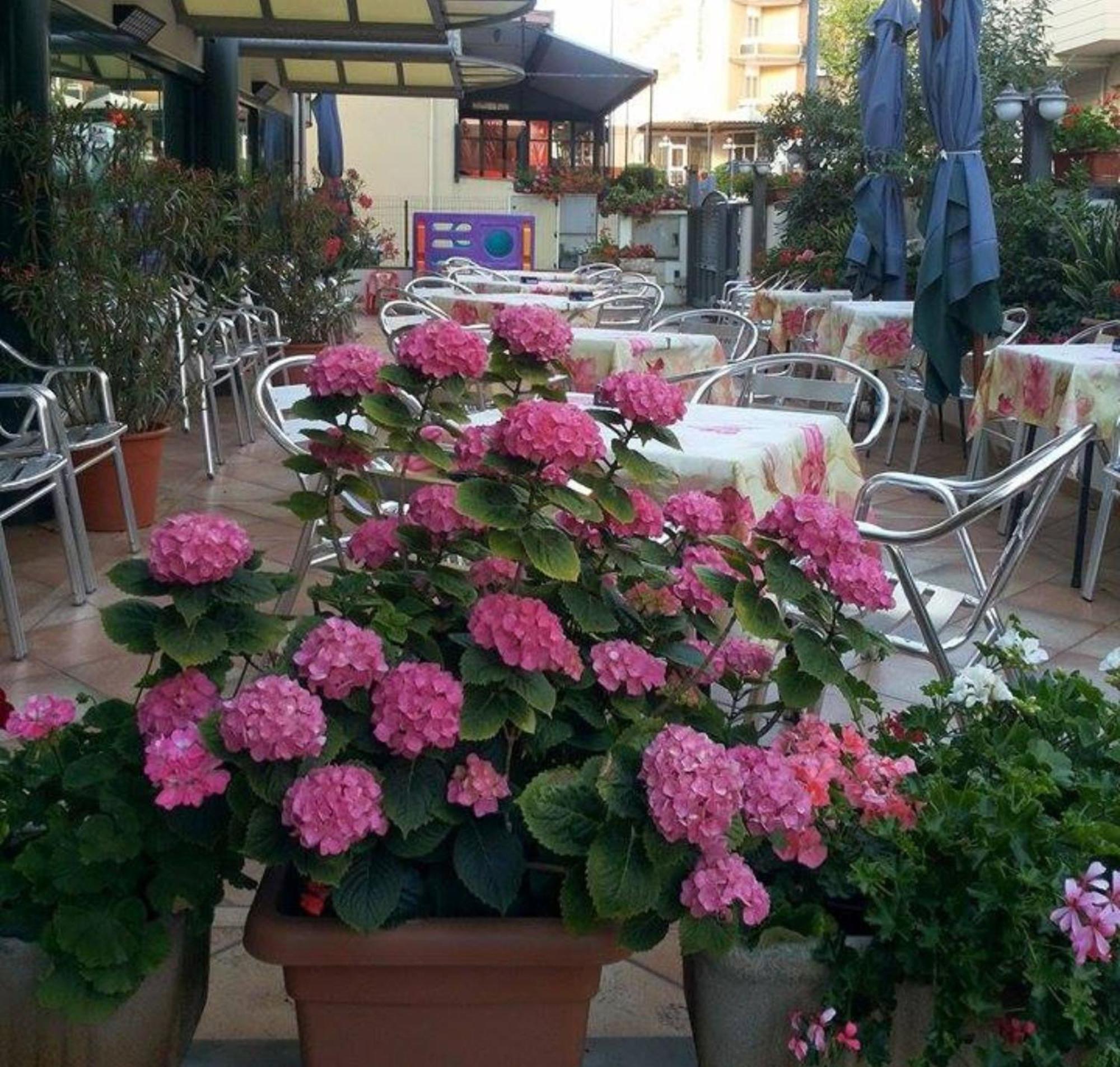 Hotel Caruso Rimini Eksteriør billede